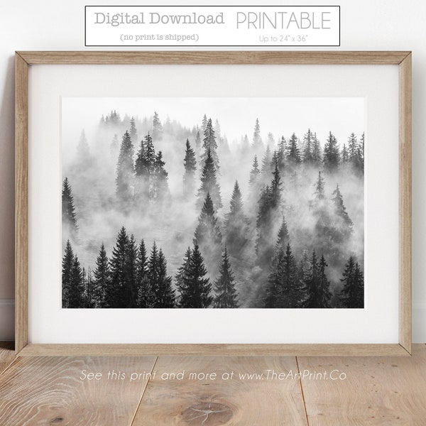 Black and White Forest Print Minimalist Wall Art Prints Nature Photography Landscape Photo Poster Scandinavian Printable Foggy Mountain Mist