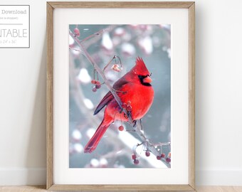 Red Cardinal Christmas Print, Merry Christmas Printable, Christmas Decor, Holiday Print Christmas Art, DIGITAL DOWNLOAD, Red Cardinal Print