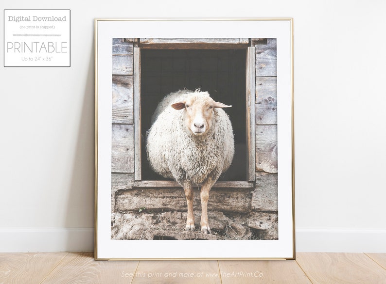 Sheep Wall Art Farmhouse Wall Art Country Print Neutral Farm Etsy
