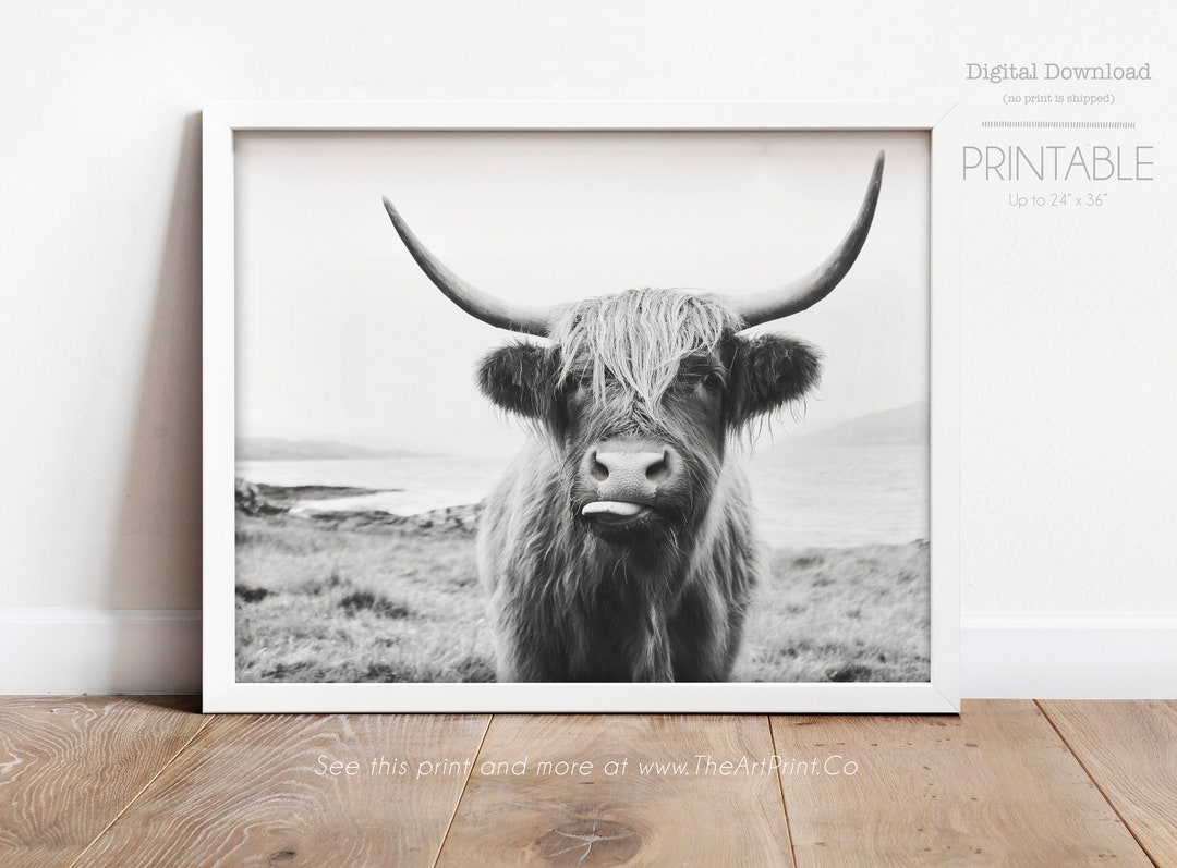 Highland Cow, Cow Wall Art Decor, Scotland Cow Print, Farm Art Digital