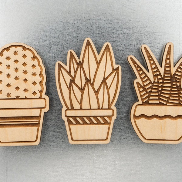 Cactus & Succulents Magnet Set - Aloe, Pincushion, Zebra Plant Wood Fridge Magnet - Cute 3 piece set