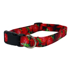 Peut inclure: Un collier de chien rouge avec un imprimé de fraises et une boucle noire.