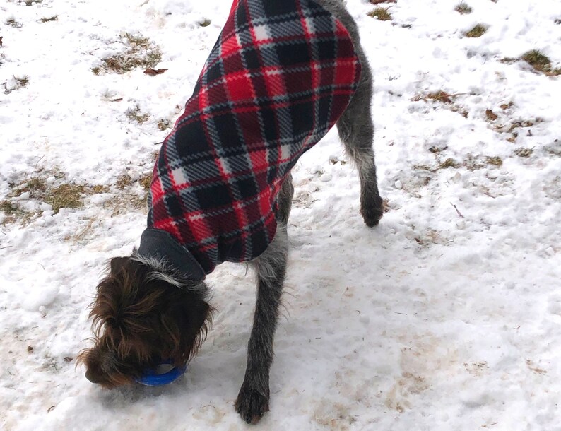 Large Reversible Dog Coat PDF Pattern/tutorial DIY Dog Etsy