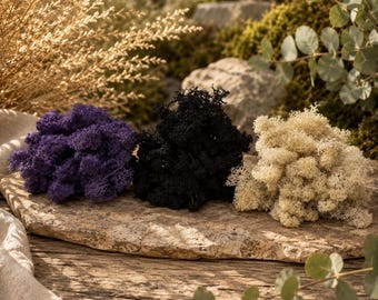 Geconserveerd rendiermos in bulk, decoratief mos voor terrarium, mosframe, harskunst, bloemstukken, woondecoratie, doe-het-zelfbenodigdheden