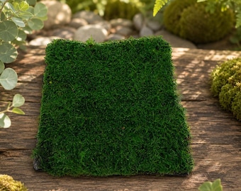Preserved Carpet Moss: Natural Green Flat Moss for Terrariums & Wall Art