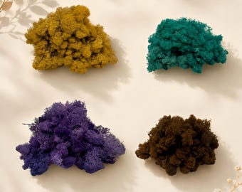 Gekleurd geconserveerd rendiermos | Mosmuur, moskunst, knutselmos voor doe-het-zelfprojecten, bloemarrangementen, terrariumaccessoires, woondecoratie