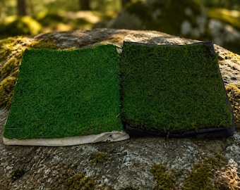 Preserved Sheet Moss, Natural Woodland Texture, DIY Crafts, Terrarium, Fairy Garden Decoration