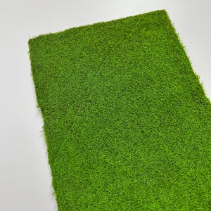 Muschio in fogli conservato: decorazione murale fai da te, muschio piatto verde naturale