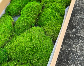 TCYPUHL 2.4 Sq.ft, Dark Green Pillow Moss Bulk Cushion Moss