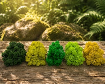 Geconserveerd rendiermos in bulk, decoratief mos voor terrarium, mosframe, harskunst, bloemstukken, woondecoratie, doe-het-zelfbenodigdheden