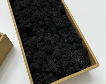 May include: A brown cardboard box filled with black preserved moss.