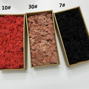 15oz Preserved Reindeer Moss: 30 Colors for Moss Wall Art