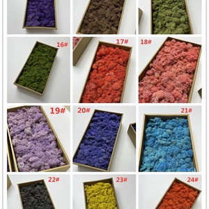 Preserved Reindeer moss-Floral moss 10oz bag in 30 colors-Deer foot Moss-Mango-Red-Gray-Purple-Blue-Preserved Lichens