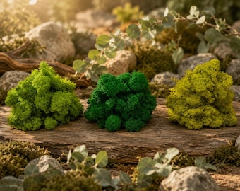 Geconserveerd rendiermos voor knutselprojecten, decoratief mos, mos voor aan de muur, mos voor terrariums, mos voor bloemendecoratie, diverse kleuren