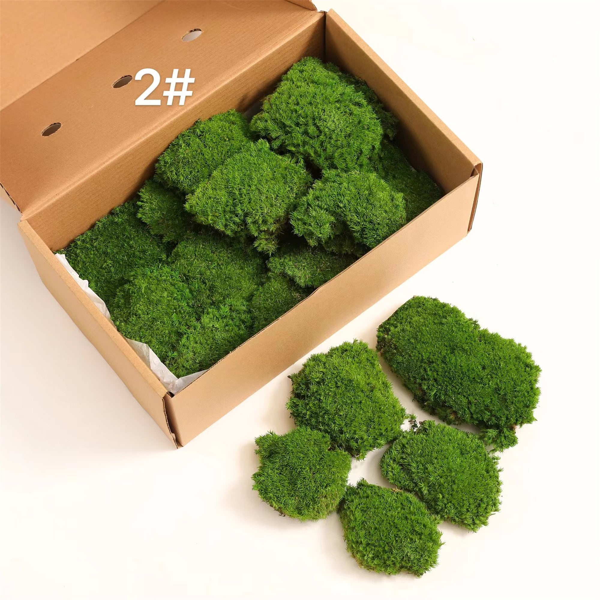 Pillow Moss Cushion Moss Moss Bowl Bulk Moss Bulk Preserve Etsy UK