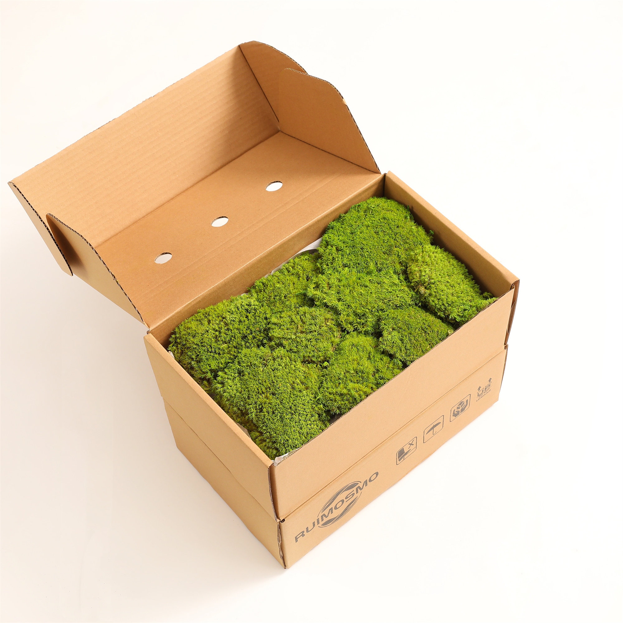 Pillow Moss Cushion Moss Moss Bowl Bulk Moss Bulk Preserve Etsy UK