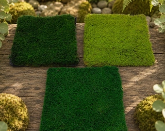 Muschio a fogli conservato sfuso, muschio naturale per terrari, decorazioni murali con muschio, giardini fatati, composizioni floreali, decorazioni fai da te per la casa