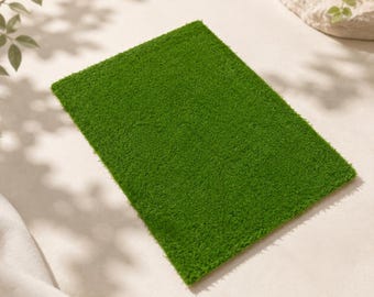 Preserved Sheet Moss Mat, Flat for Terrariums, Fairy Gardens, Wall Crafts