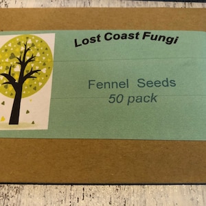 3 packs of Fennel Seeds 25 seeds each Pack