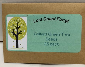 3 Packs of Collard Green Tree Seeds 25 per Pack Super Food