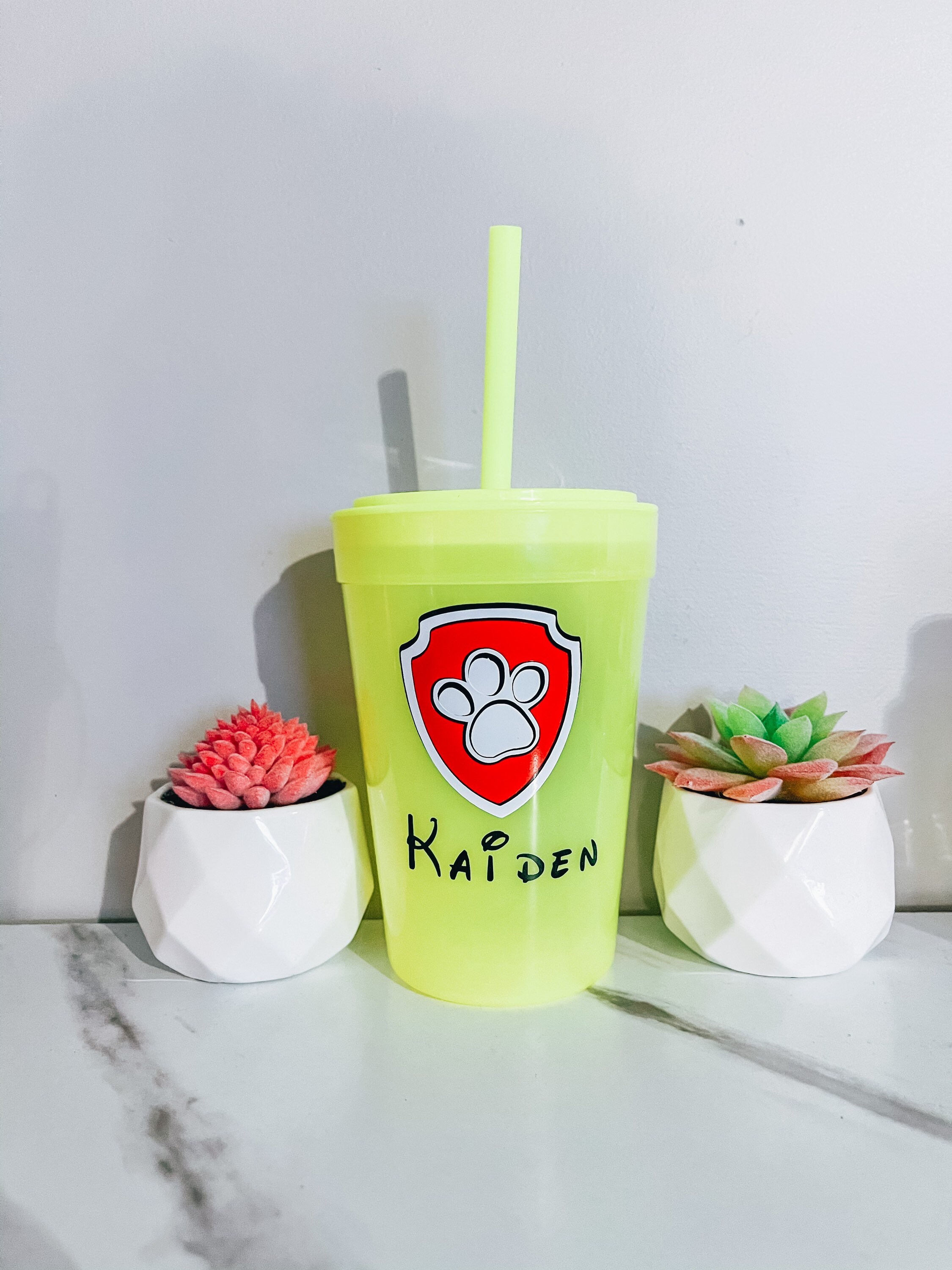 Paw patrol Marshall 15oz Color changing cup | Etsy