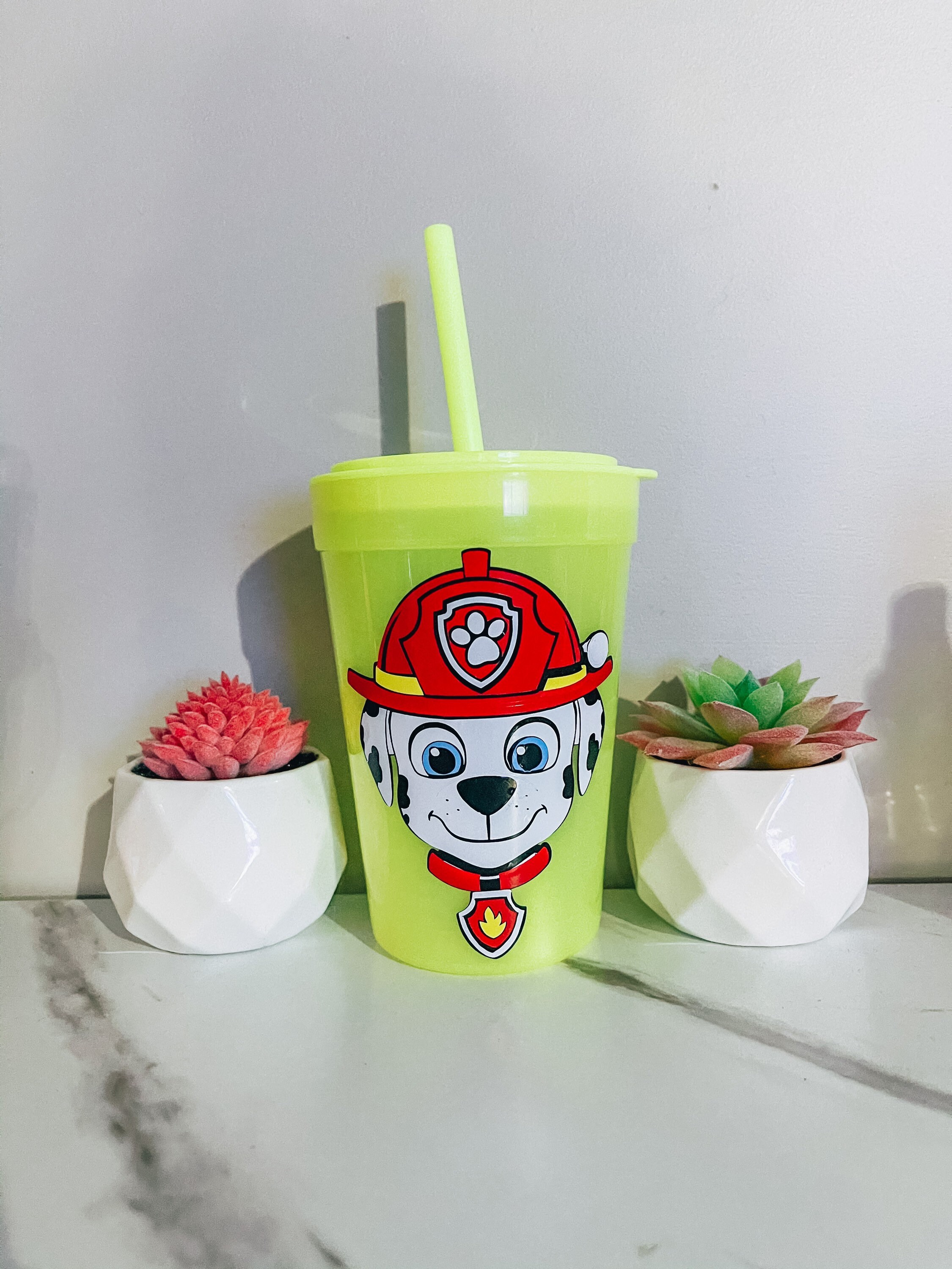 Paw patrol Marshall 15oz Color changing cup | Etsy