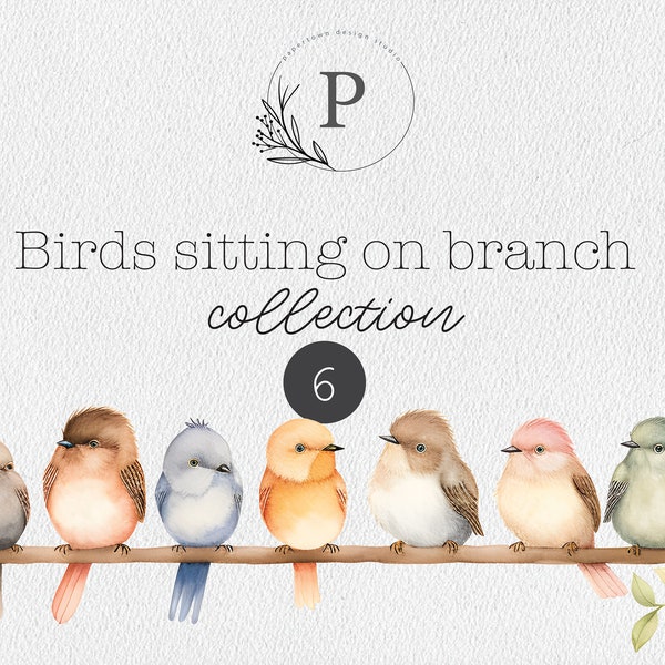 Watercolor birds sitting on a branch border clipart ,PNG files, digital download, Sublimation.