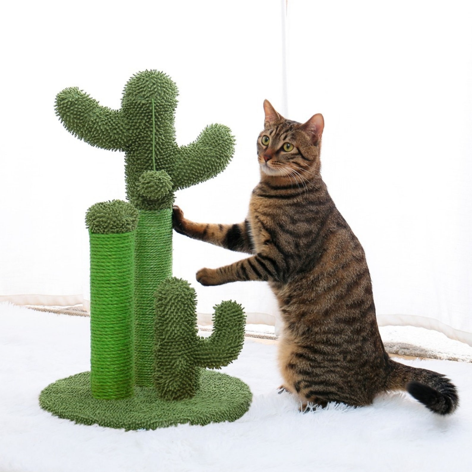 Cute Cactus Pet Cat Tree Toys with Ball Scratcher Posts for Etsy