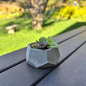 May include: A small, geometric concrete planter filled with assorted succulents. The planter is gray and has a multi-faceted design. The succulents include green and purple-hued plants. The planter sits on a dark gray wooden surface, with a blurred green background.