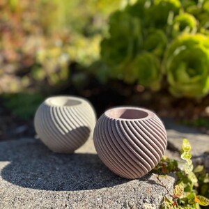 May include: Two spherical, textured planters with a spiral design. One is a light gray color, and the other is a muted reddish-brown. The planters are made of concrete and are suitable for small plants or succulents.
