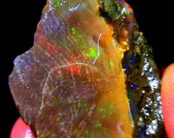 May include: A rough, natural opal with a dark gray matrix. The opal has a translucent, milky white body with flashes of green, red, and orange.