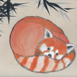 May include: Watercolor painting of a curled-up red panda with a fluffy tail and white-tipped ears. The panda is orange and white, set against a beige background with black bamboo leaves. Chinese characters and a red seal are in the upper right.