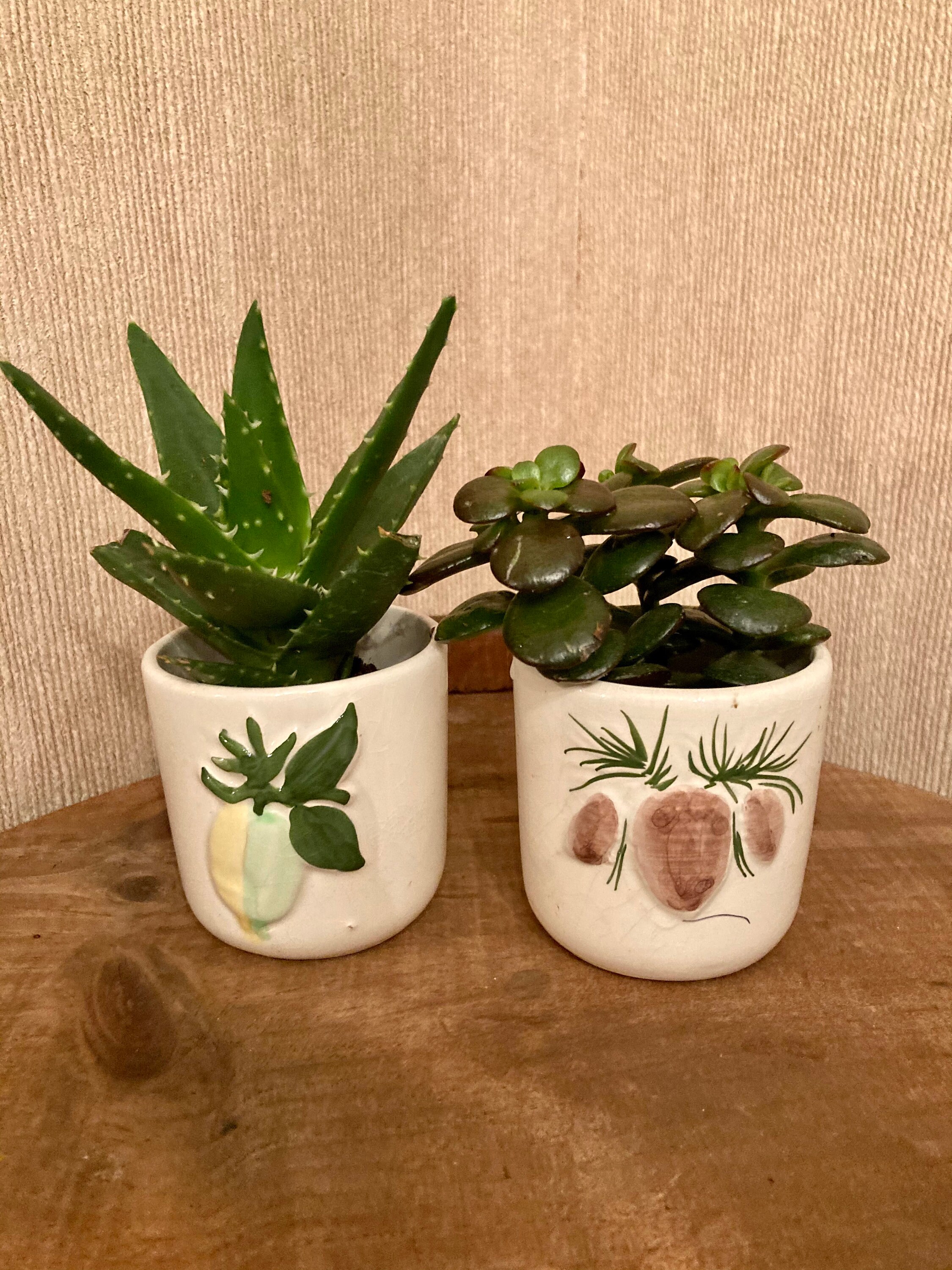 small ceramic planters