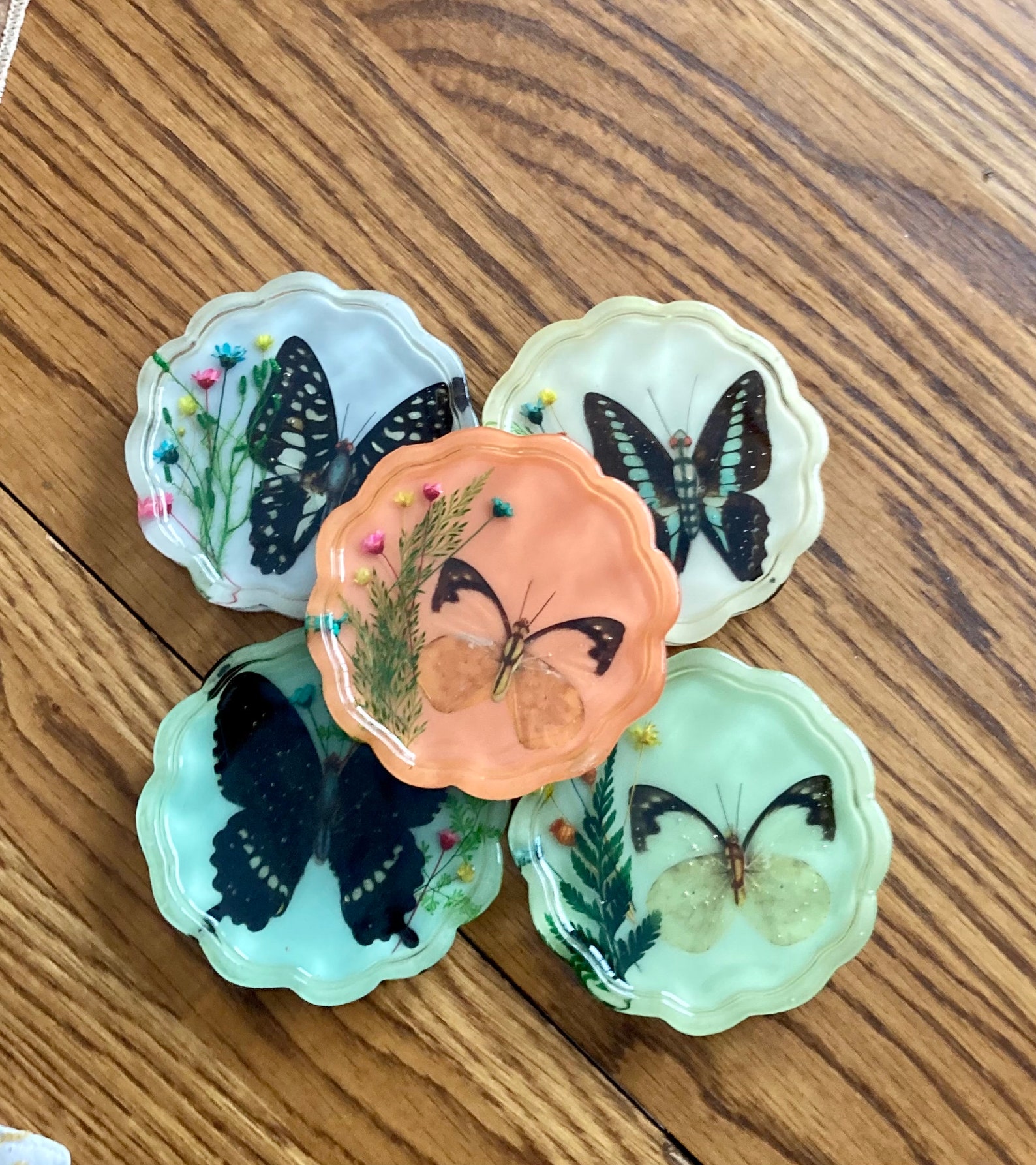 Set of five resin butterfly coasters. Faux insect taxidermy. Etsy