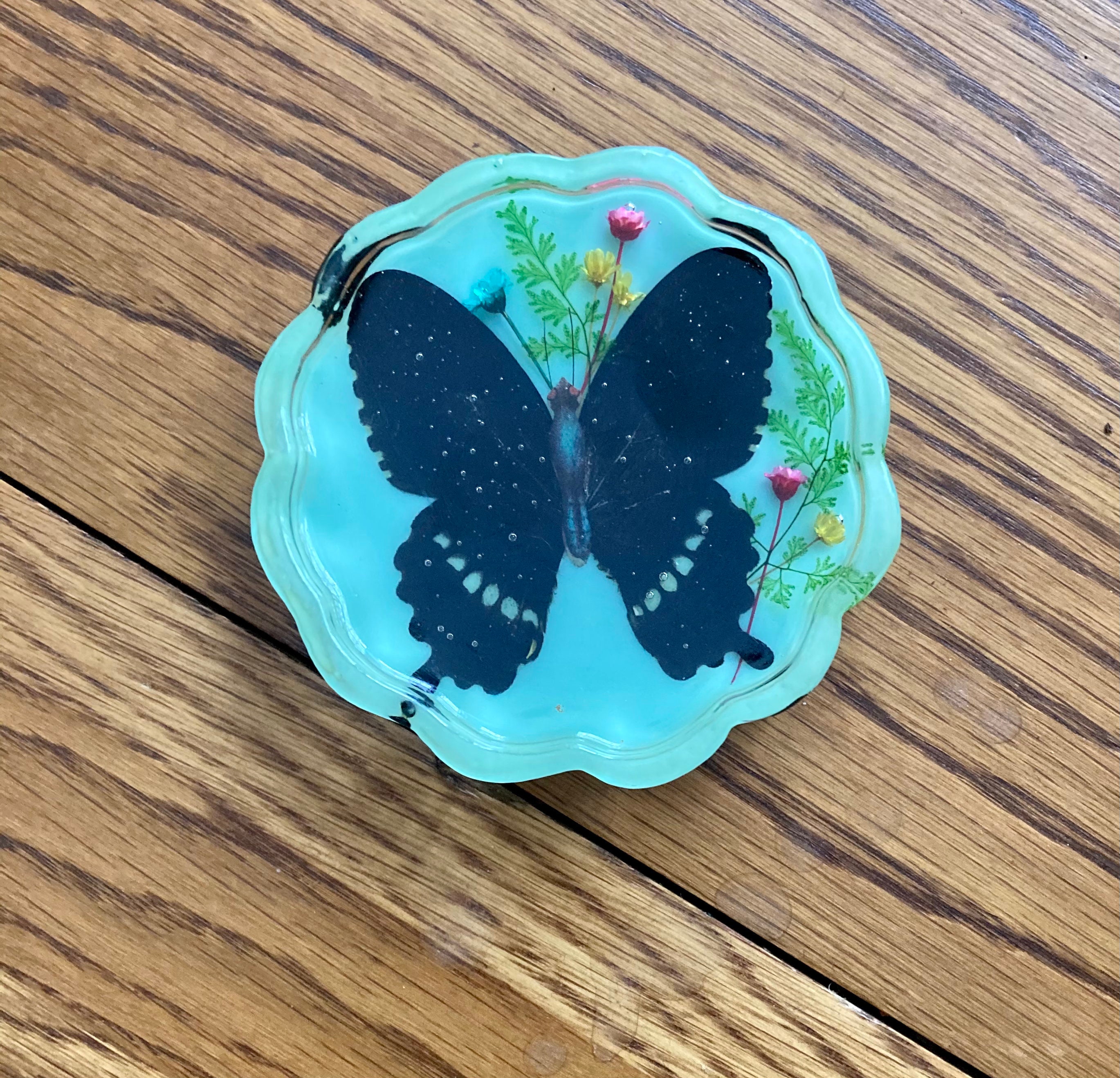 Set of five resin butterfly coasters. Faux insect taxidermy. Etsy