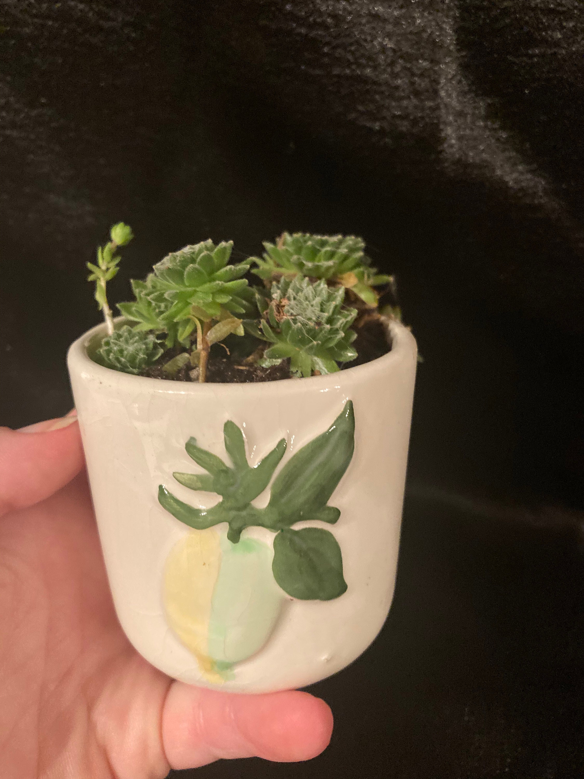 small ceramic planters