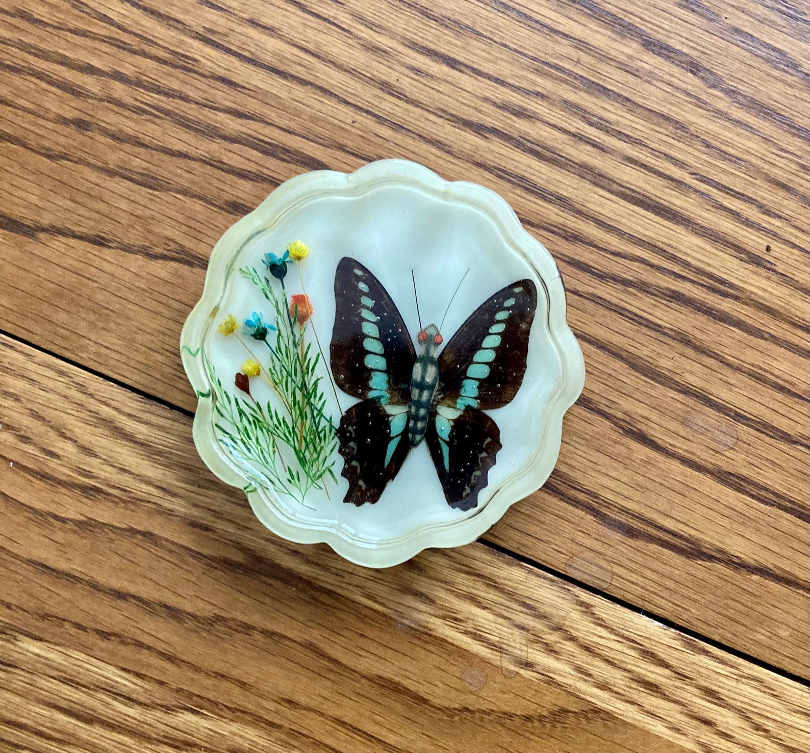 Set of five resin butterfly coasters. Faux insect taxidermy. Etsy