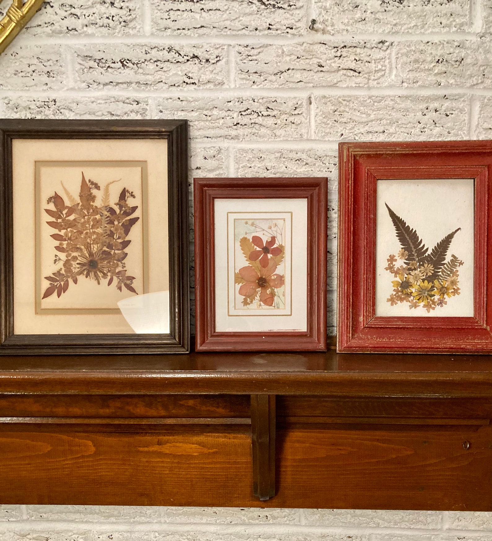 Set of three framed pressed flower pictures. Victorian pressed Etsy