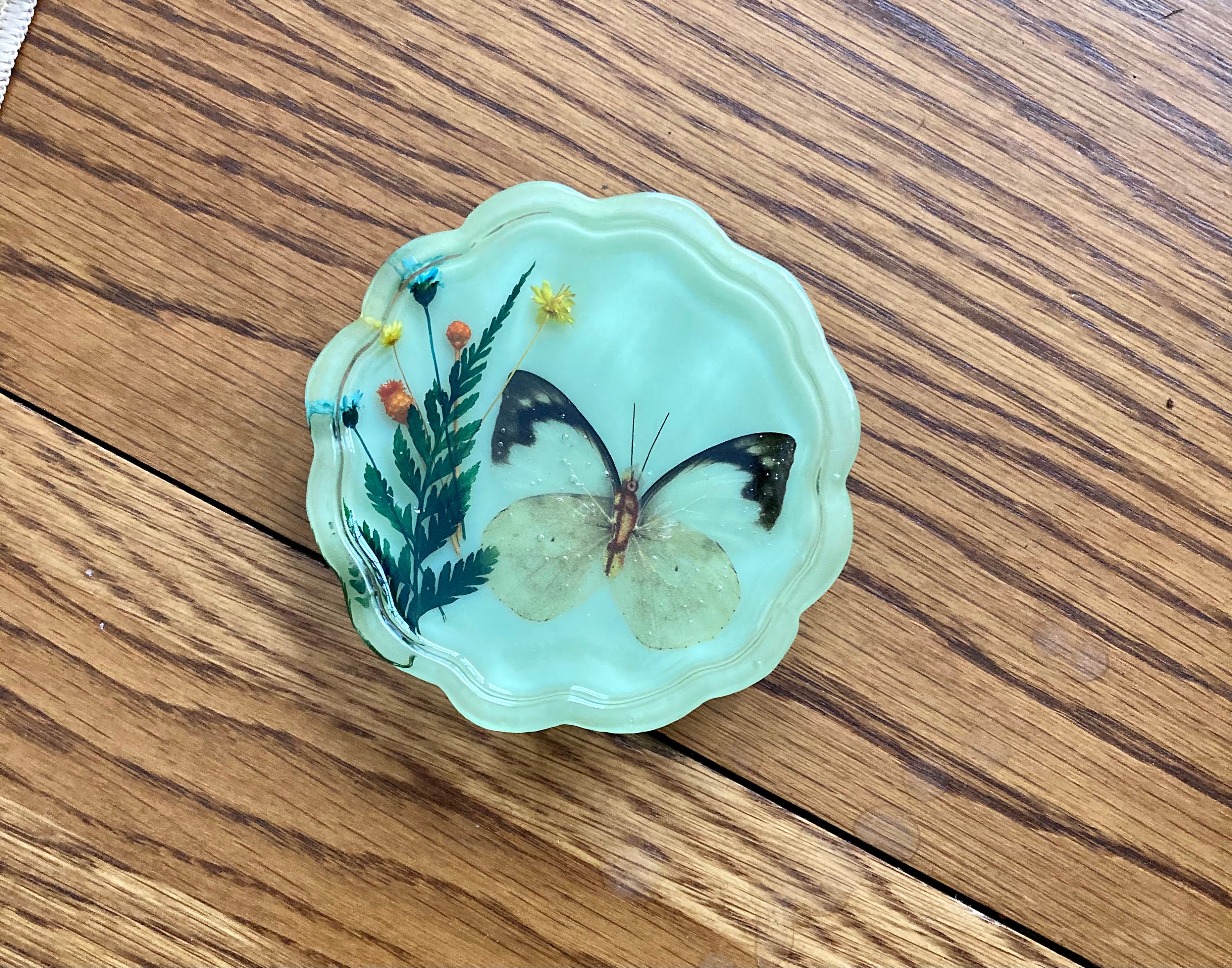 Set of five resin butterfly coasters. Faux insect taxidermy. Etsy