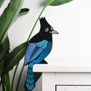 Steller&#39;s jay door decoration - door topper - blue bird home decor - birds of North America - wildlife ornament - wall art  - wall decor