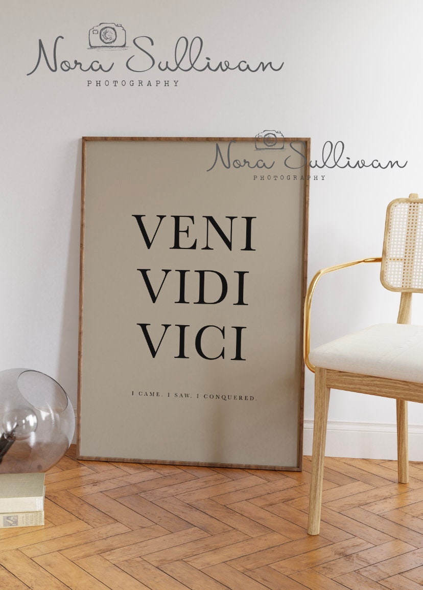 Veni vidi vici latin quote poster translation i Vector Image