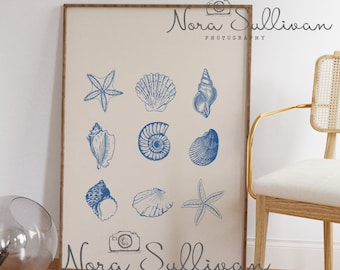 Seashell Digital Art, Seashells art, Coastal aesthetic print, summer poster, Blue Coastal Print, Minimalist Illustration, Digital Download