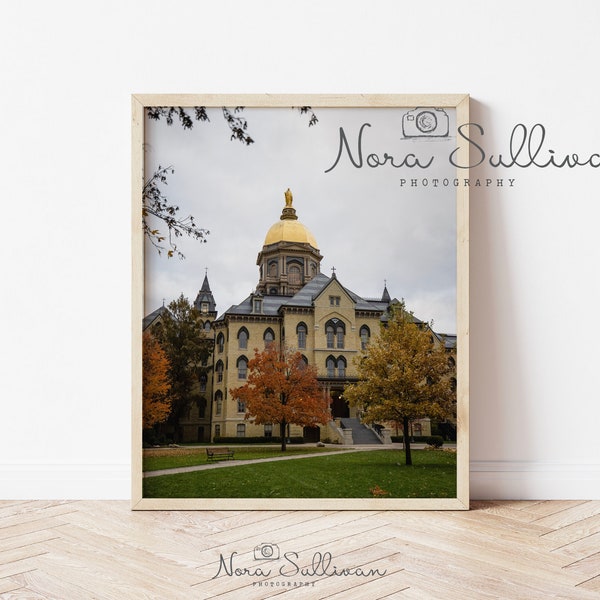 Golden Dome, Fall University of Notre Dame, Digital Wall Print, College Wall Print, ND Wall Print, College Photo, Home Decor, Fighting Irish