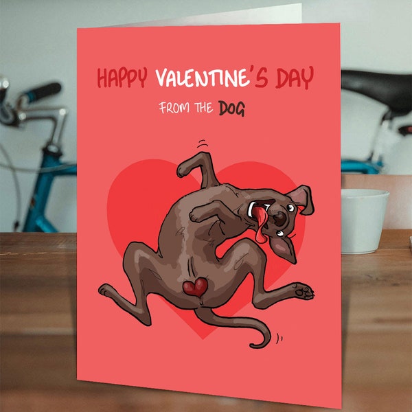 Funny Rude Valentines Day Card From The Dog | For Girlfriend Boyfriend Husband Wife Partner | Cheeky Dog Valentine Card | Heart Shaped Balls