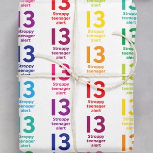 Funny Birthday Gift Wrap - Stroppy Teenager Alert | For Teenage Boy or Girl | Son Daughter Niece Nephew | 13th Birthday Wrapping Paper