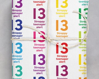 Funny Birthday Gift Wrap - Stroppy Teenager Alert | For Teenage Boy or Girl | Son Daughter Niece Nephew | 13th Birthday Wrapping Paper