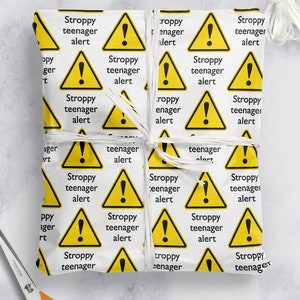 Funny Birthday Gift Wrap Warning - Stroppy Teenagers | For Teenage Boy or Girl | Son Daughter Niece Nephew | 13th Birthday Wrapping Paper