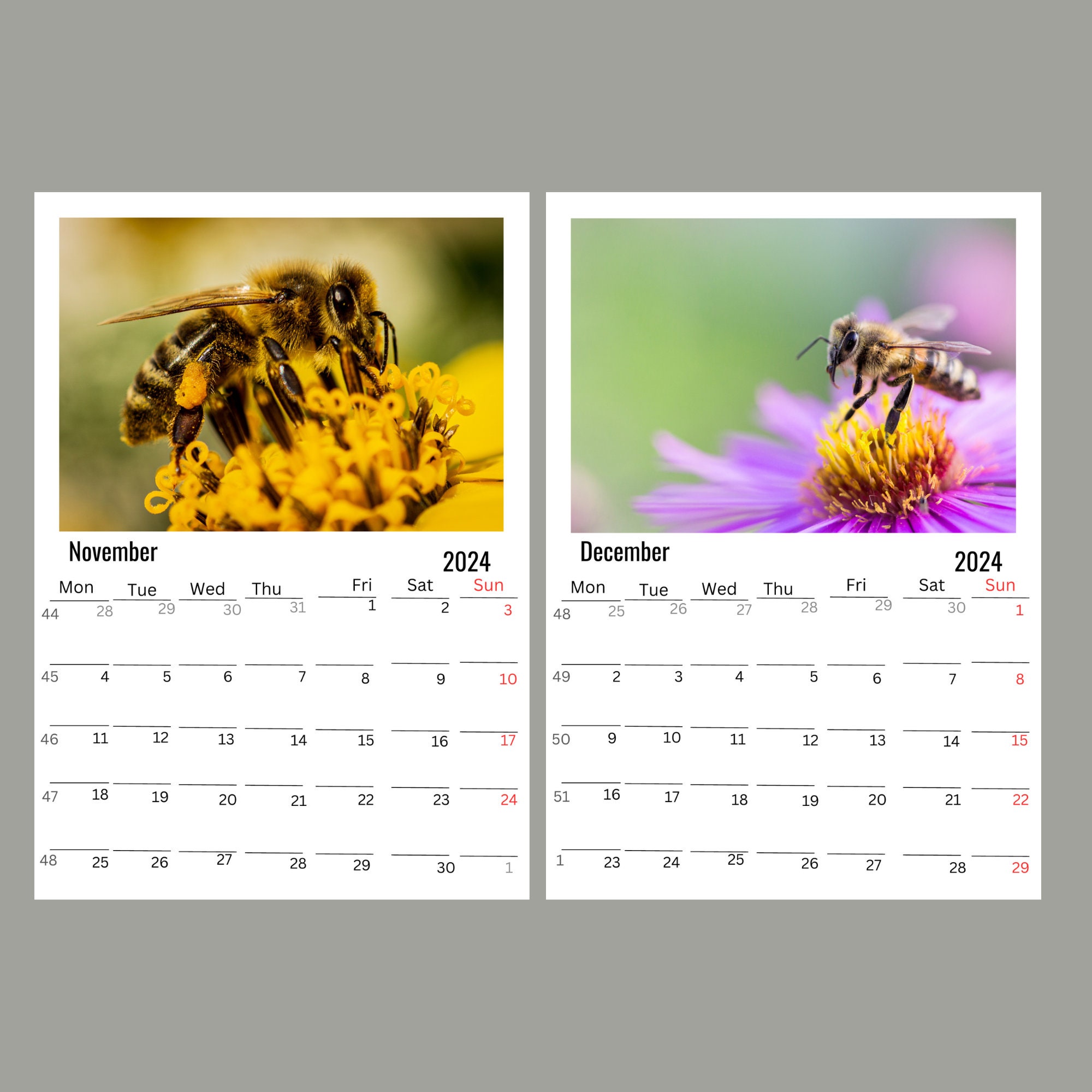 Bee Wall Calendar 2024 Etsy