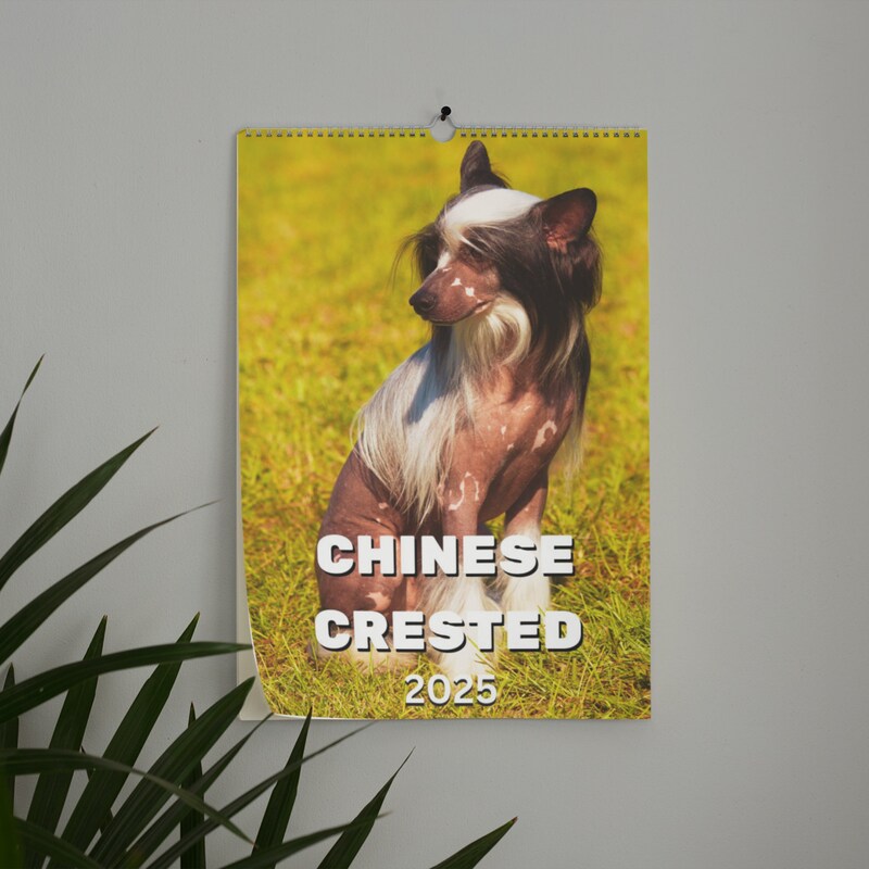 Chinese Crested Etsy