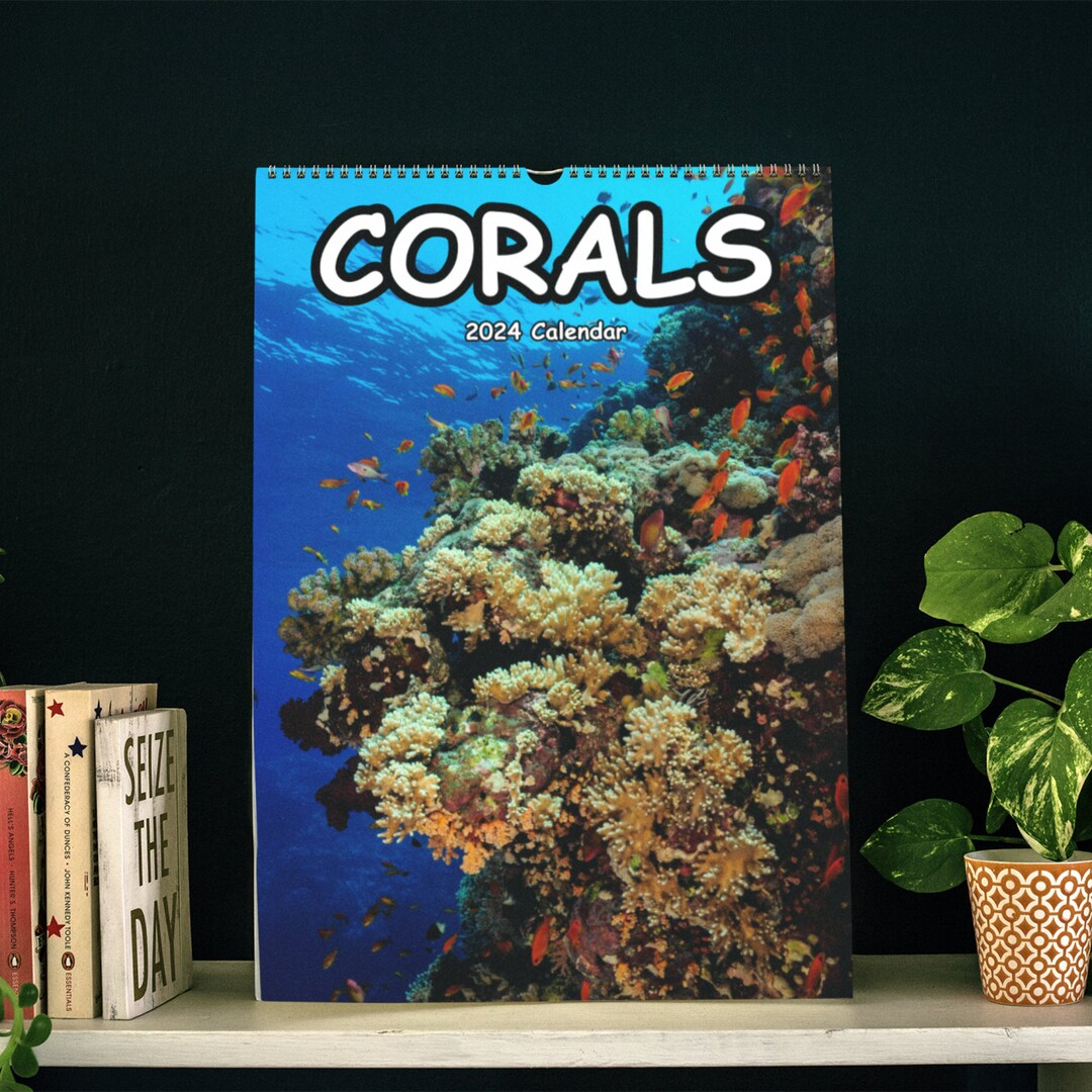 Corals Wall Calendar 2024 Etsy